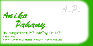 aniko pahany business card